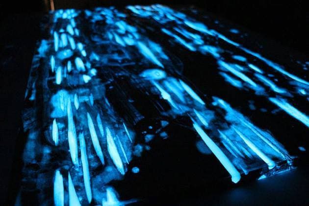 12932825_145059042555750_653689193265647550_n (1)