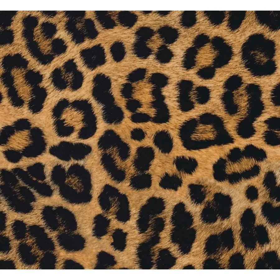 FH09